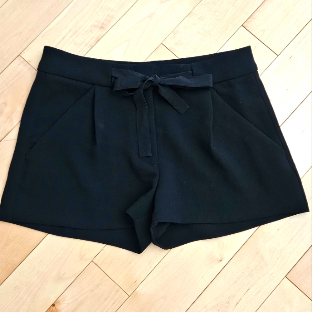 Aritzia Shorts, Size 0